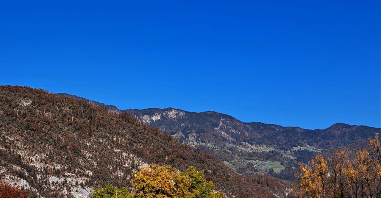 Apartmaji Alpski Cvet - Hisa Gorenc Bohinj Extérieur photo