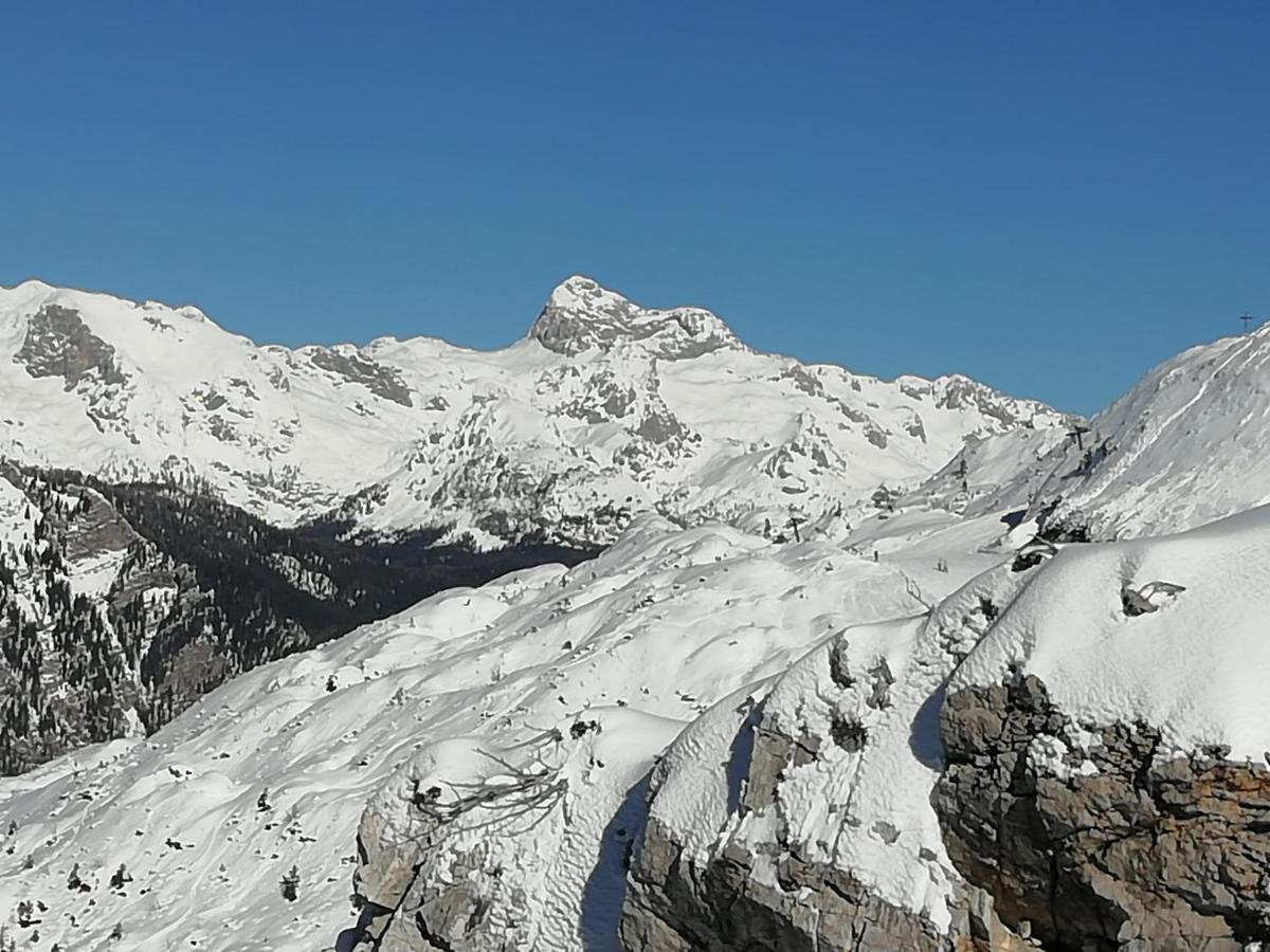 Apartmaji Alpski Cvet - Hisa Gorenc Bohinj Extérieur photo