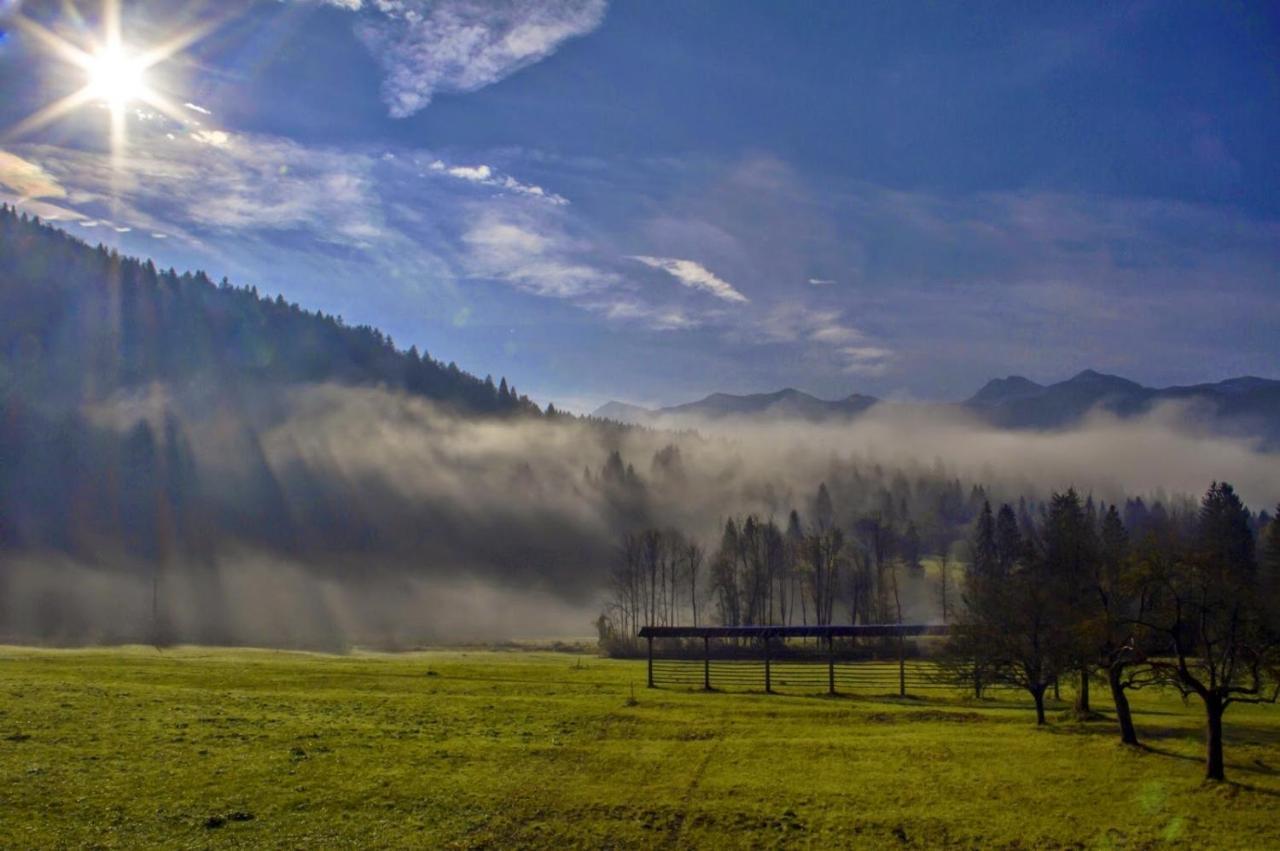 Apartmaji Alpski Cvet - Hisa Gorenc Bohinj Extérieur photo