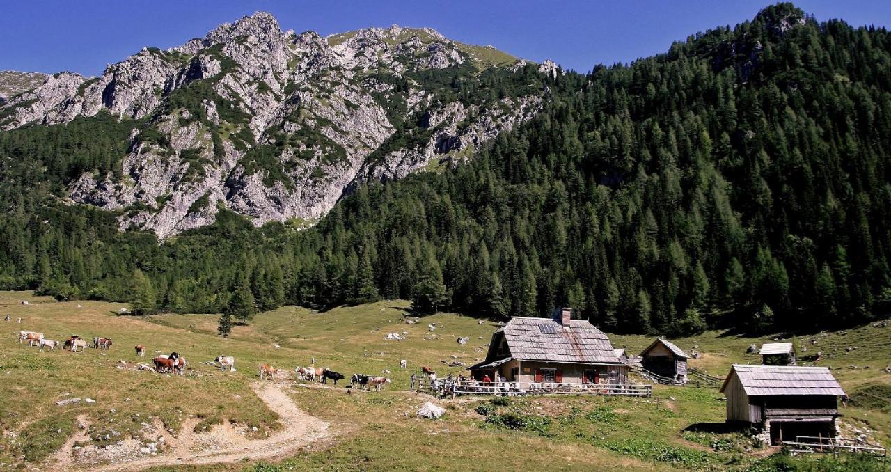 Apartmaji Alpski Cvet - Hisa Gorenc Bohinj Extérieur photo