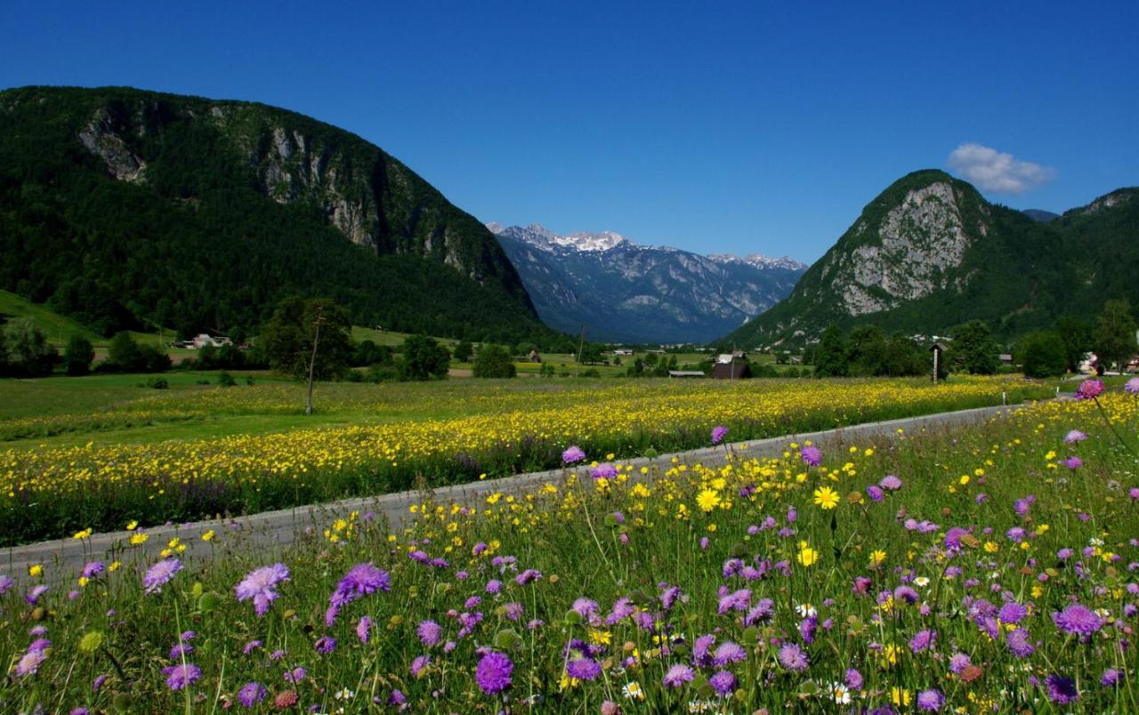 Apartmaji Alpski Cvet - Hisa Gorenc Bohinj Extérieur photo