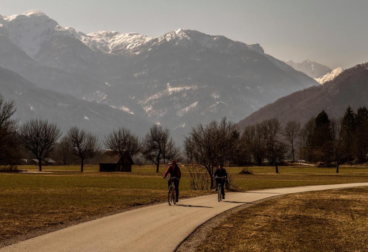 Apartmaji Alpski Cvet - Hisa Gorenc Bohinj Extérieur photo
