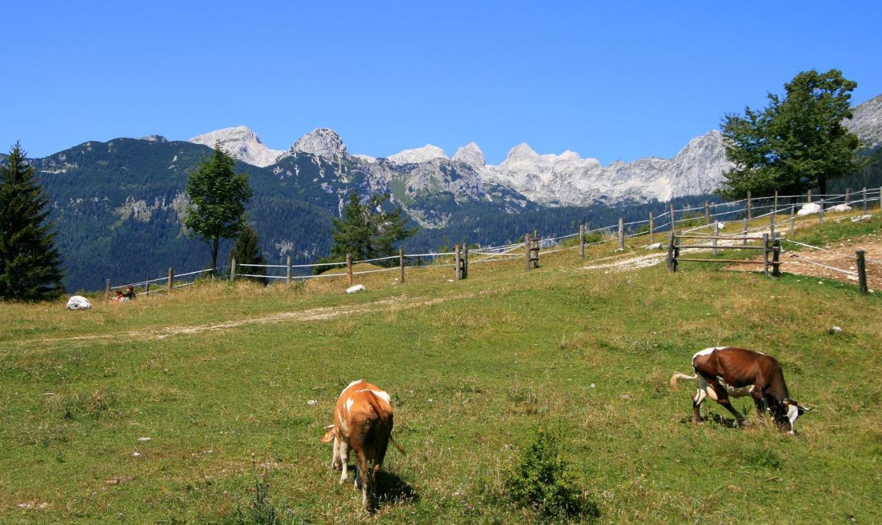 Apartmaji Alpski Cvet - Hisa Gorenc Bohinj Extérieur photo
