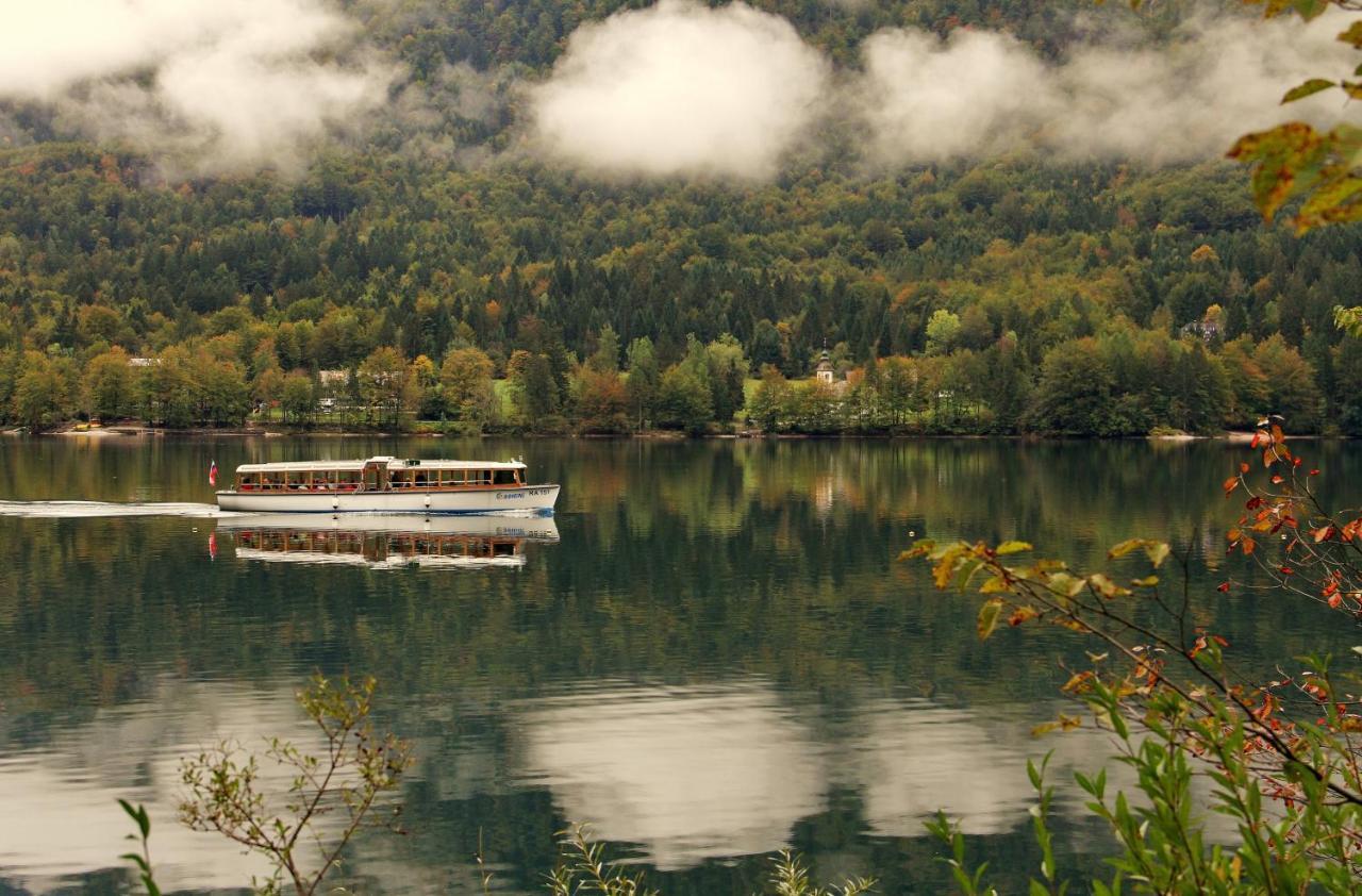 Apartmaji Alpski Cvet - Hisa Gorenc Bohinj Extérieur photo