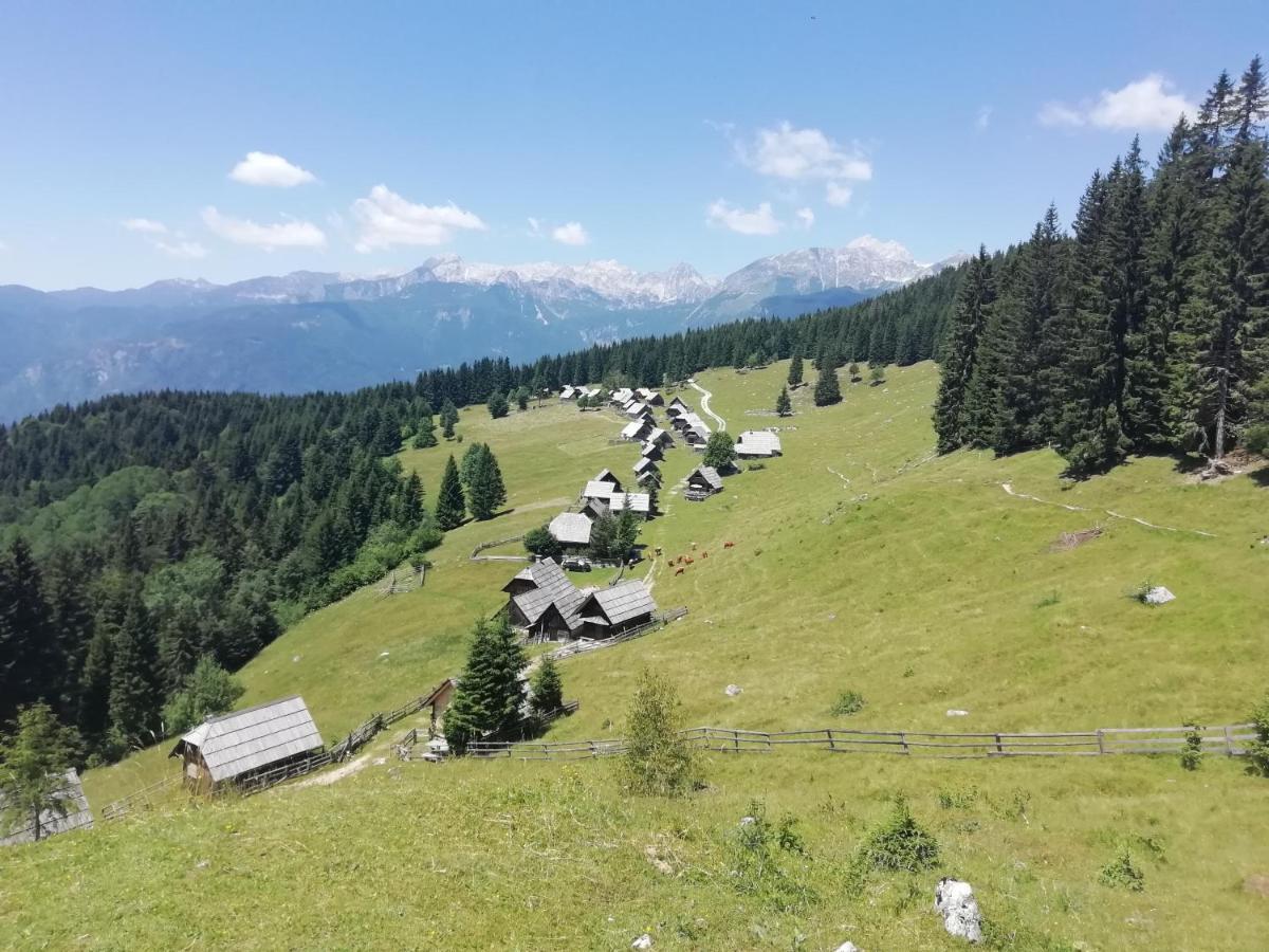 Apartmaji Alpski Cvet - Hisa Gorenc Bohinj Extérieur photo